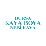 Kaya Boya